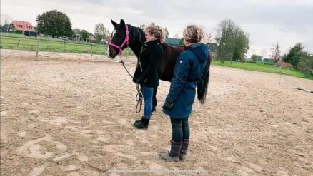 Coaching tekenicoon met modern en professioneel ontwerp