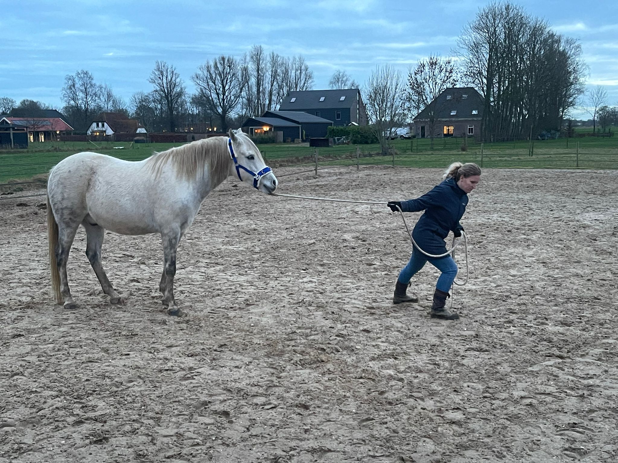 Het gevoel dat je aan een “dood” paard trekt? - Hoef Your Feet