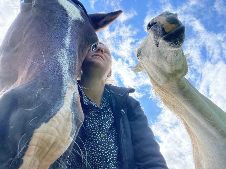 Alle neuzen dezelfde kant op - Hoef Your Feet