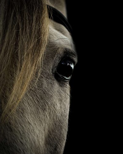 Farid zwarte achtergrond 1